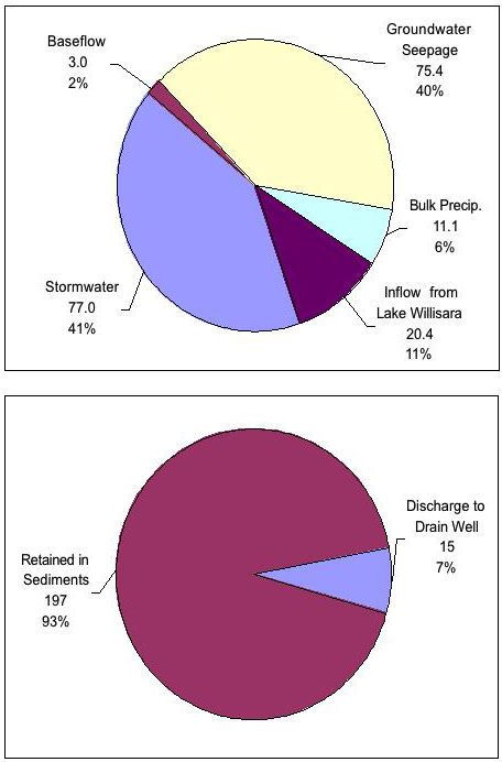 Lake Pineloch Phosphorus Inputs and Losses